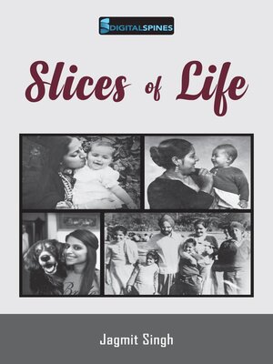 cover image of Slices of Life